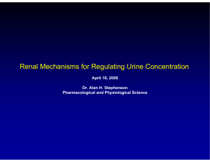 Renal Mechanisms for Regulating Urine Concentration