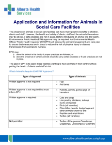 Application and Information for Animals in Social Care Facilities