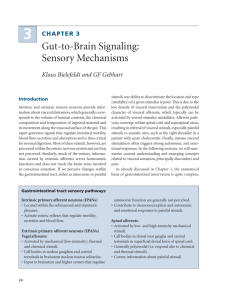 Gut-to-Brain Signaling: Sensory Mechanisms