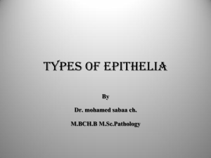Types of epithelia