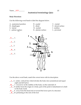 Body Cavities and Sections Self-Quiz