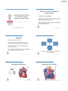 Objective Anatomy of the Heart Anatomy of The Heart