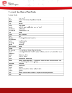 Commonly Used Medical Root Words