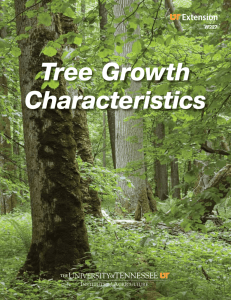 Tree Growth Characteristics - University of Tennessee Extension