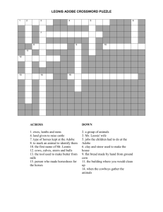 Leonis Adobe Crossword Puzzle