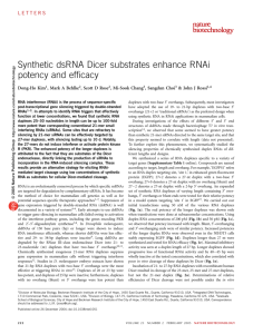 Synthetic dsRNA Dicer substrates enhance RNAi potency and efficacy