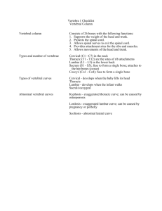 Vertebra 1 Checklist Vertebral Column Vertebral column Consists of