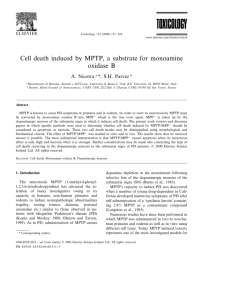 Cell death induced by MPTP, a substrate for monoamine oxidase B