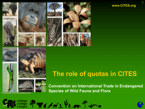 CITES_Chapter17-The role of Quotas-07-01-09