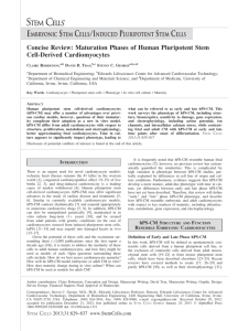 Concise Review: Maturation Phases of Human