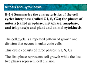 B-2.6 Summarize the characteristics of the cell cycle: interphase