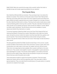 The Coyote Story - Sensible Science!