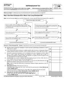 2010 Form 1040 (Schedule SE) - The Benefit Bank: Self
