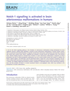 Notch-1 signalling is activated in brain arteriovenous malformations