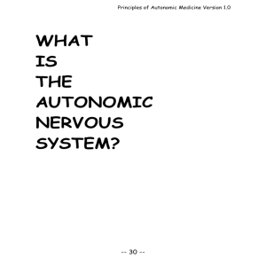 what is the autonomic nervous system?