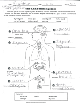 Endocrine System study guide answers