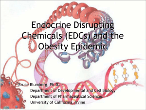 Endocrine Disrupting Chemicals and the Obesity Epidemic