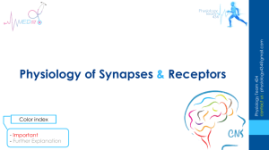 1. Physiology of Synapses & Receptors