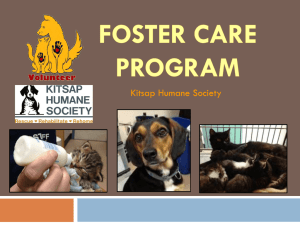 Kitsap Humane Society – Foster Care Program