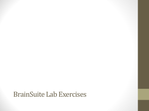 BrainSuite Lab Exercises