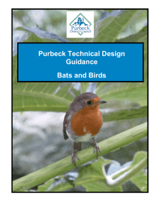 Supporting technical guidance - Bats and Birds