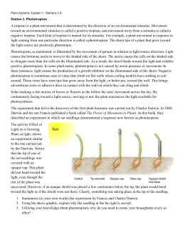 Plant Tropisms Cloze Worksheet