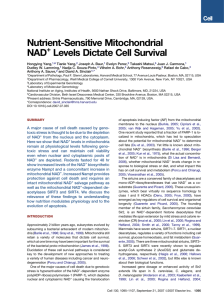 Nutrient-Sensitive Mitochondrial NAD Levels Dictate Cell Survival