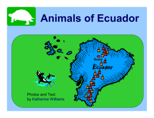 Animals of Ecuador