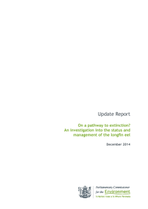 Update Report - Parliamentary Commissioner for the Environment