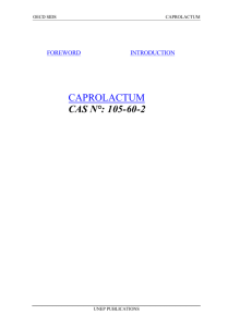 CAPROLACTUM CAS N°: 105-60-2