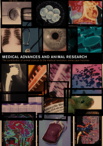 Medical Advances and Animal Research