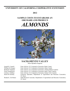 Sample Costs to Establish an Orchard and Produce Almonds with