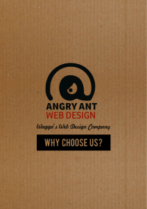 brochure - Angry Ant Web Design