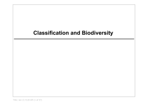 Classification and Biodiversity