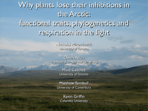 Why plants lose their inhibitions in the Arctic