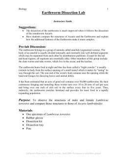 earthworm dissection holt earthworm dissection lab earthworm dissection holt earthworm dissection lab