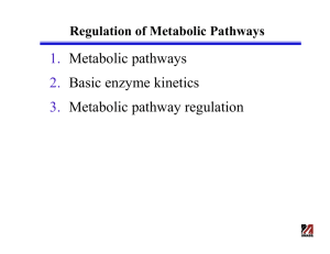 1. Metabolic pathways 2. Basic enzyme kinetics 3. Metabolic