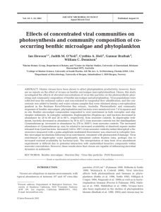 Effects of concentrated viral communities on photosynthesis and