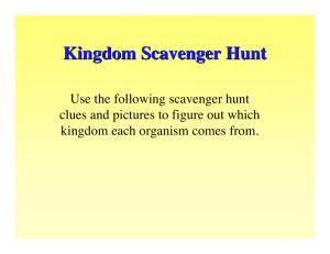 Kingdom Scavenger Hunt