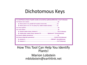 Dichotomous Keys Overview To Copy Corrected 9-26-13