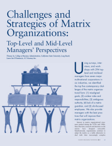 Challenges and Strategies of Matrix Organizations