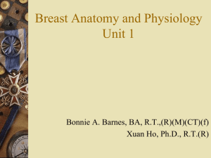 Breast Anatomy and Physiology
