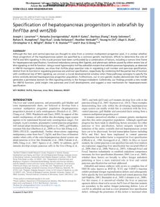 Specification of hepatopancreas progenitors in