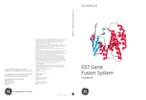 GST Gene Fusion System