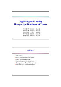 Managing Challenges of Heavyweight Team