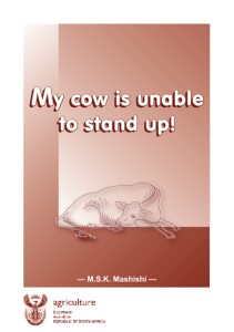 My cow is unable to stand up!