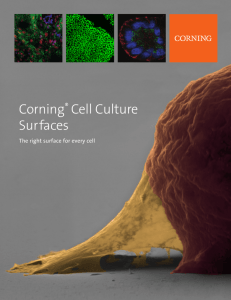 Corning® Cell Culture Surfaces Selection Guide