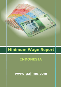 Minimum Wage Report - WageIndicator Foundation