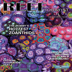 HOTTEST ZOANTHIDS - Reef Hobbyist Magazine