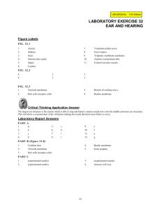 The EAR LAB MANUAL 11th Edition